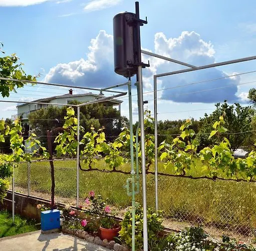 Lisica Апартаменты *